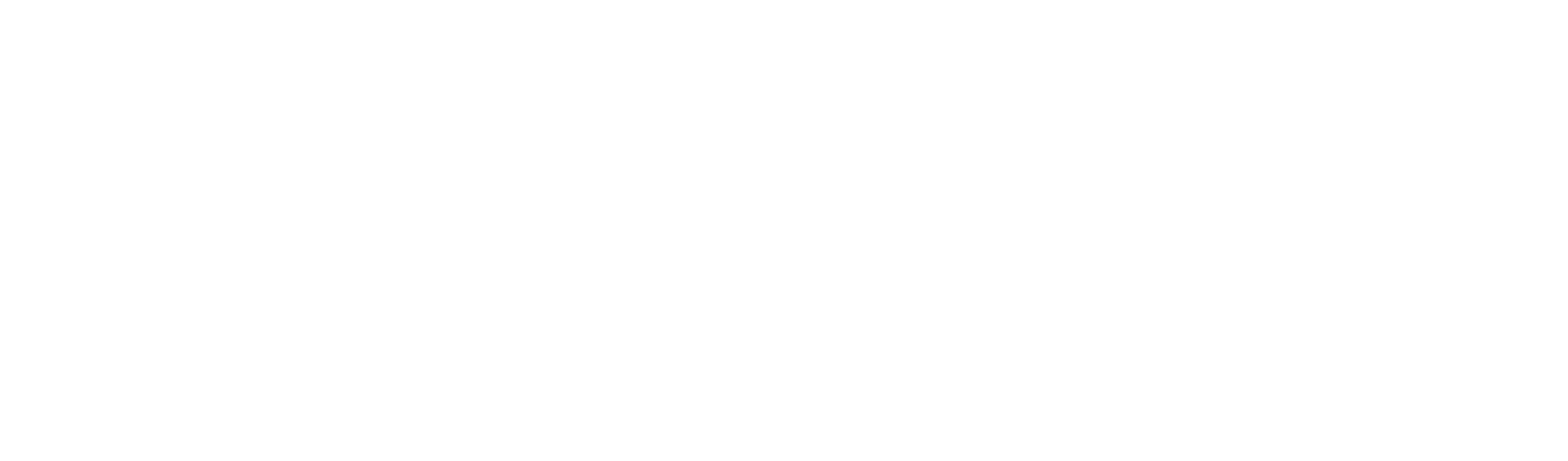 Polygon Studios Partner